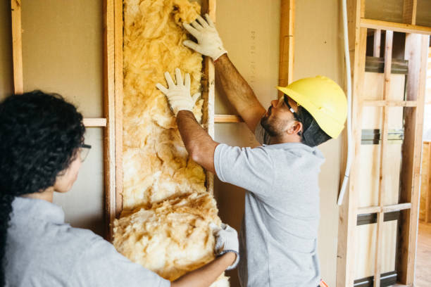 Best Commercial Insulation Services  in Waco, TX